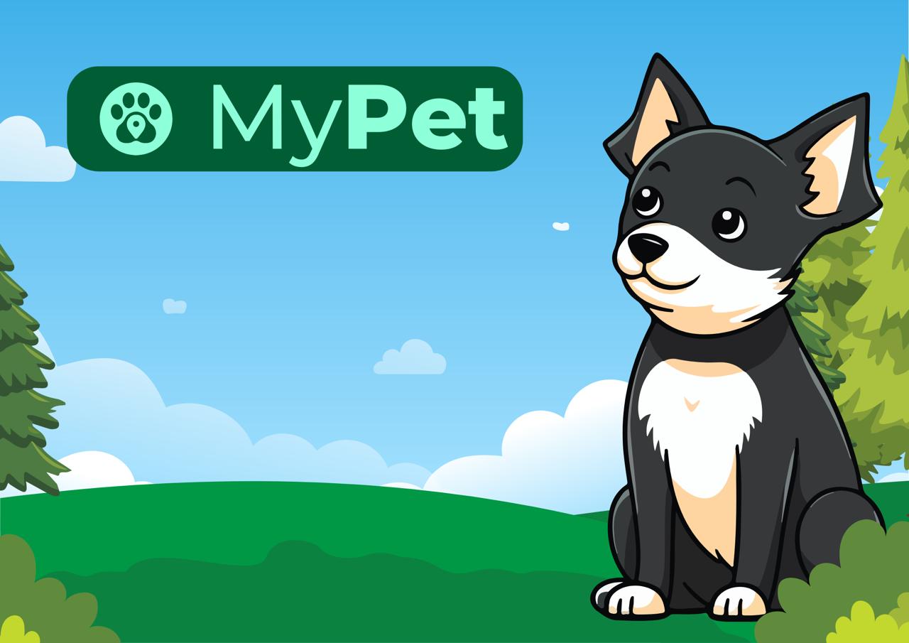 How to Monitor Your Dog's Heart Rate and Activity Safely